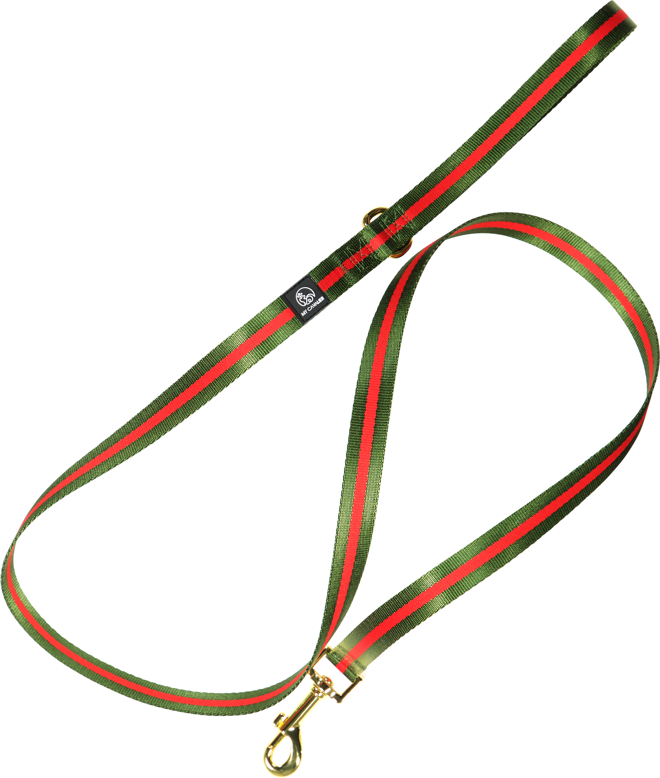 Main Leash with D-Ring on the Handle image